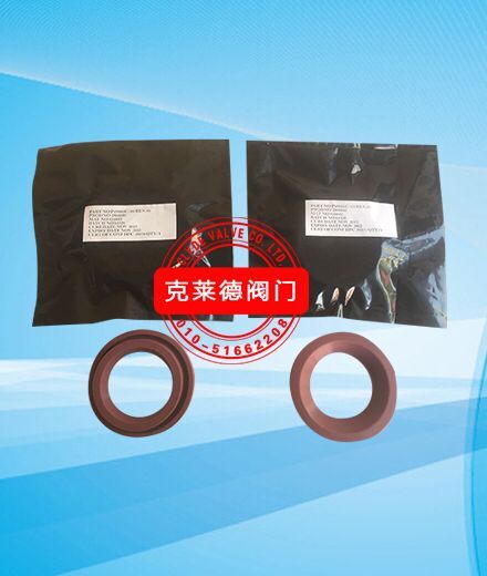 插入式密封圈P19080C-00 DN50